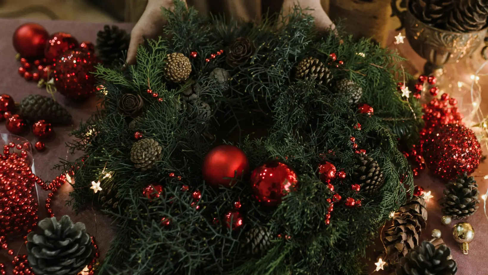 Christmas Light Installation