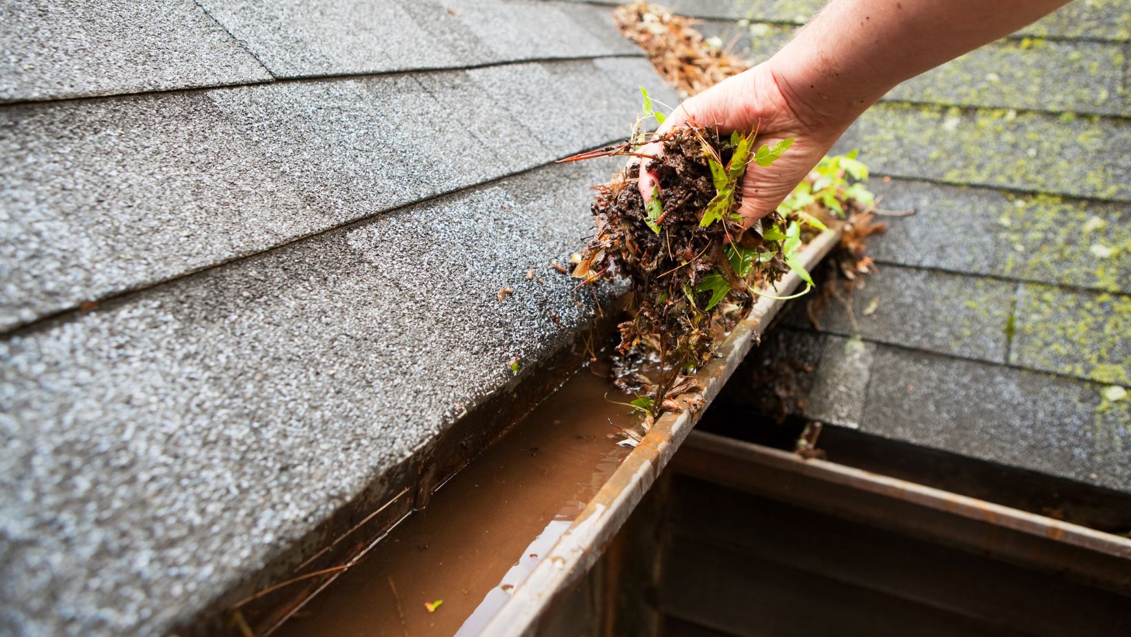 Gutter Clean Out