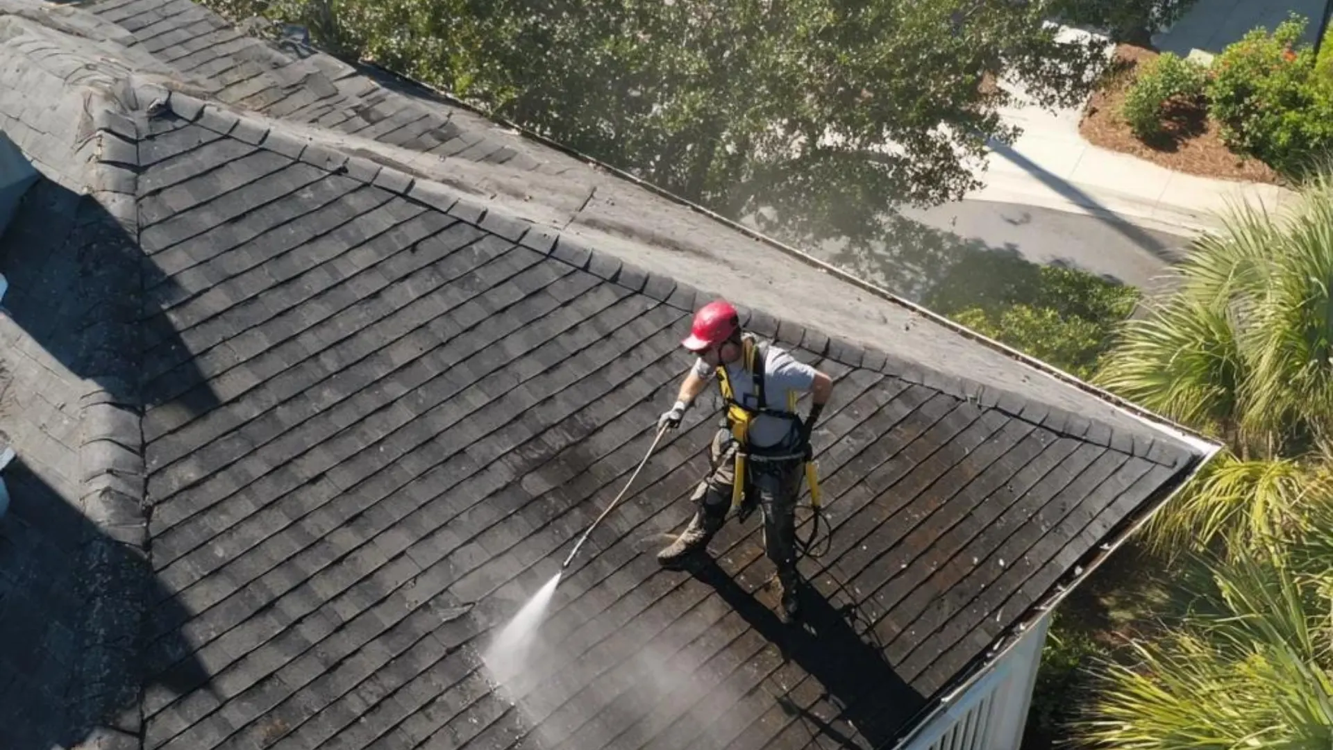 apollo beach roof washing services removing black streaks from shingles